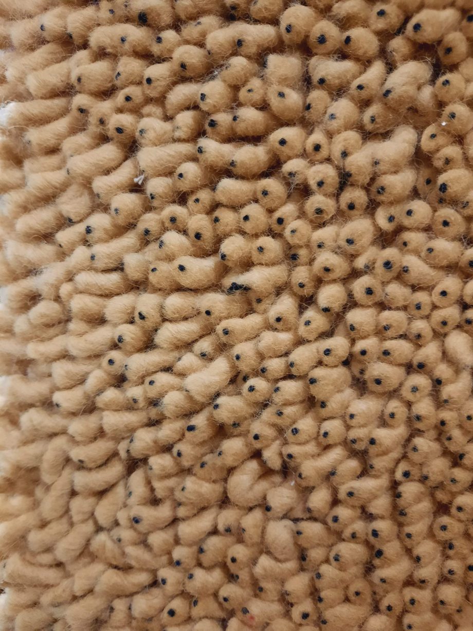 R7P26 Carpet Eye 170x230  